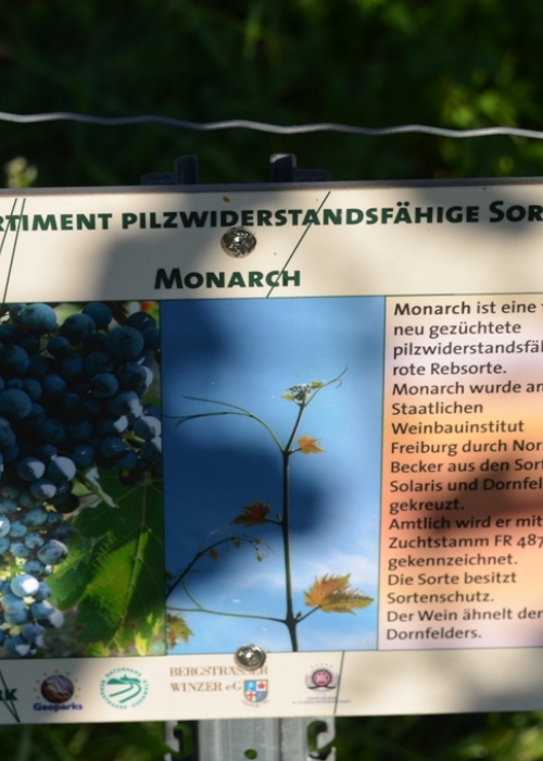 Monarch ANT 7355